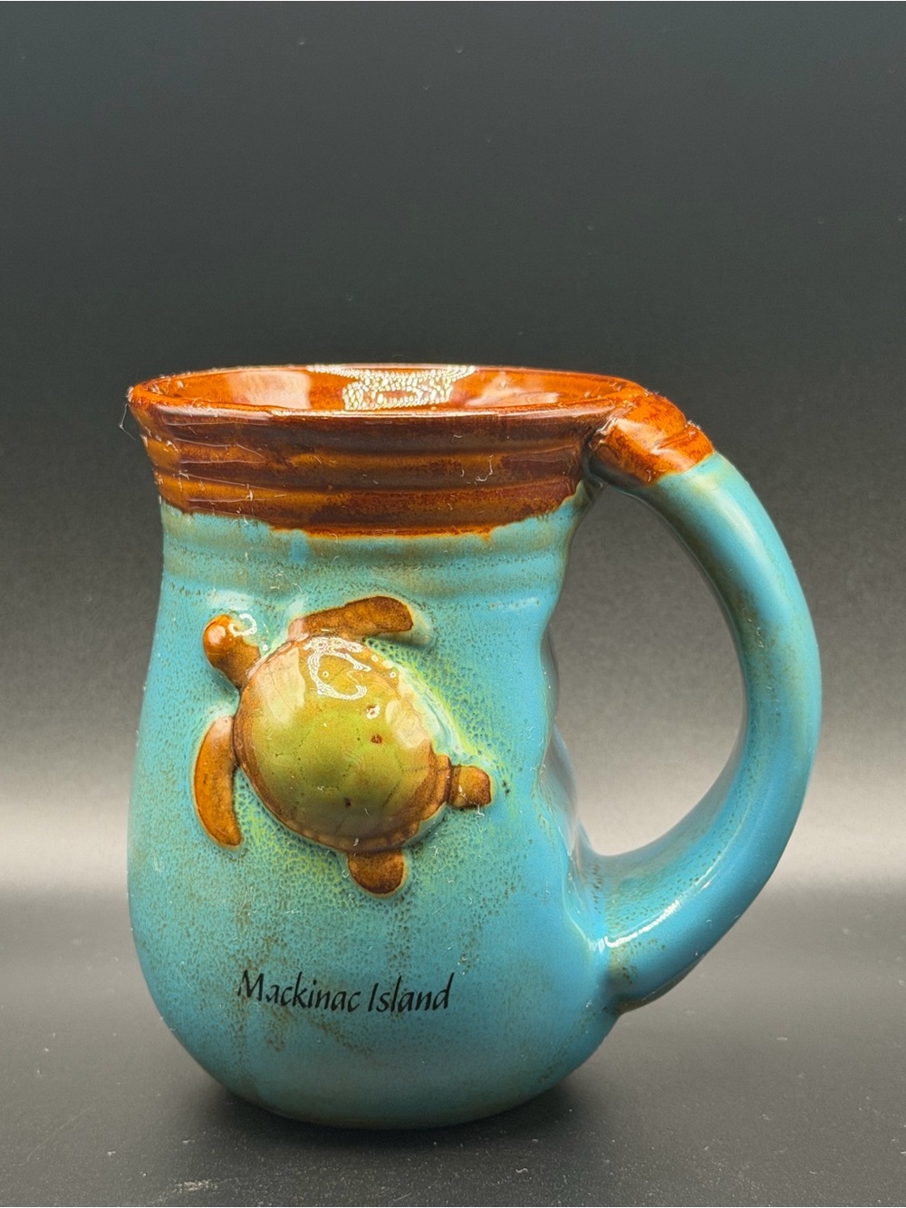 Blue/Brown Ceramic Mackinac Island Turtle Mug